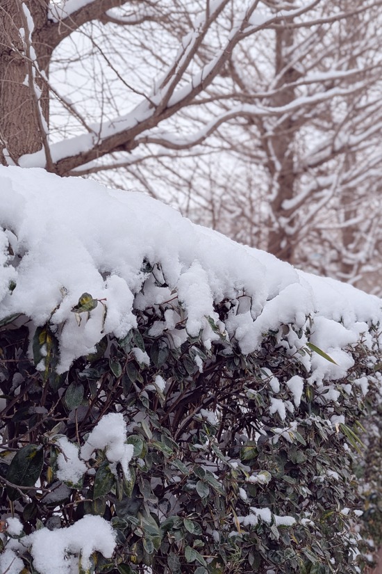 PXL_20260208_052041090.PORTRAIT