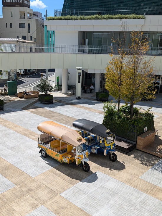 PXL_20240913_041745638.PORTRAIT.ORIGINAL