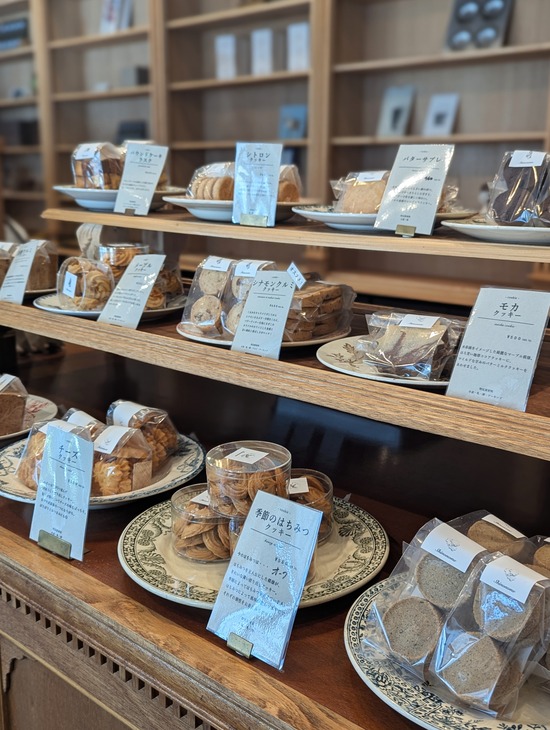 PXL_20260204_033720781.PORTRAIT (1)