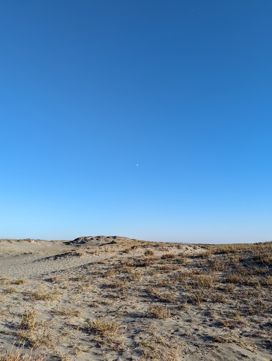 PXL_20231023_064949585