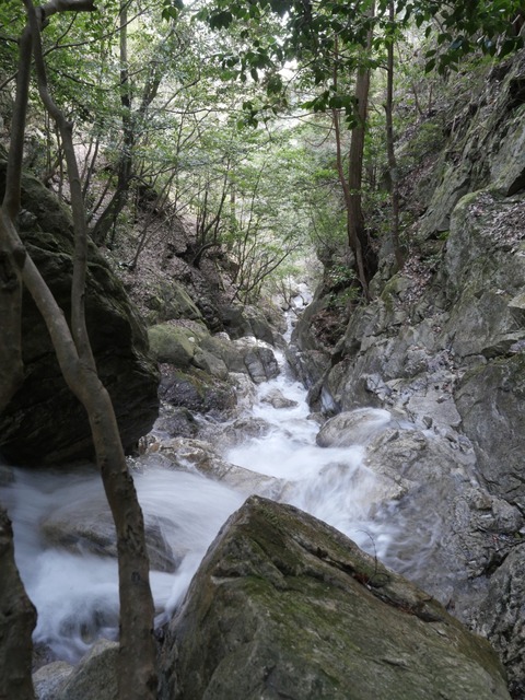 line_oa_chat_240204_194208