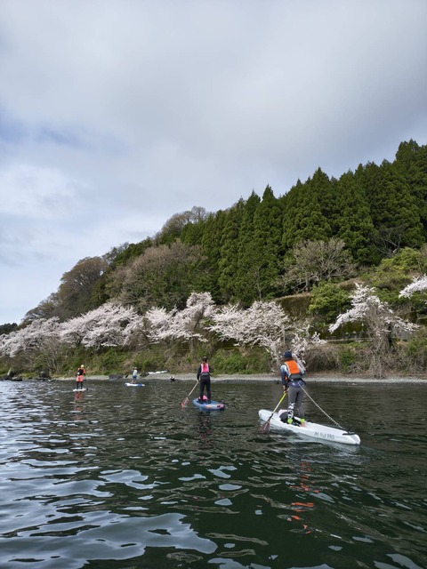 line_oa_chat_260405_171504