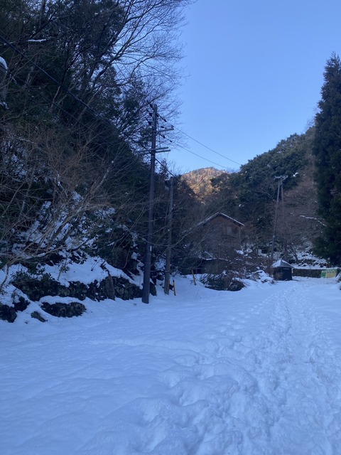 line_oa_chat_260201_181242