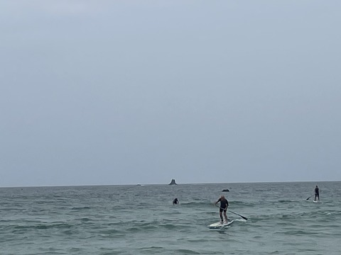 IMG_4333