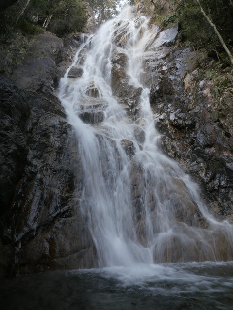 line_oa_chat_240204_194214
