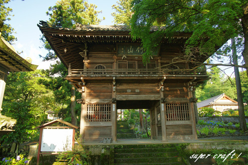 daikouji220625_DSC04731