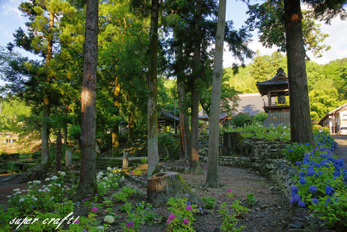 daikouji220625_DSC04702