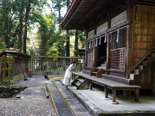 takedahachimanguu_251123DSC05719