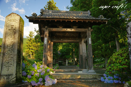 daikouji_220625_DSC04682