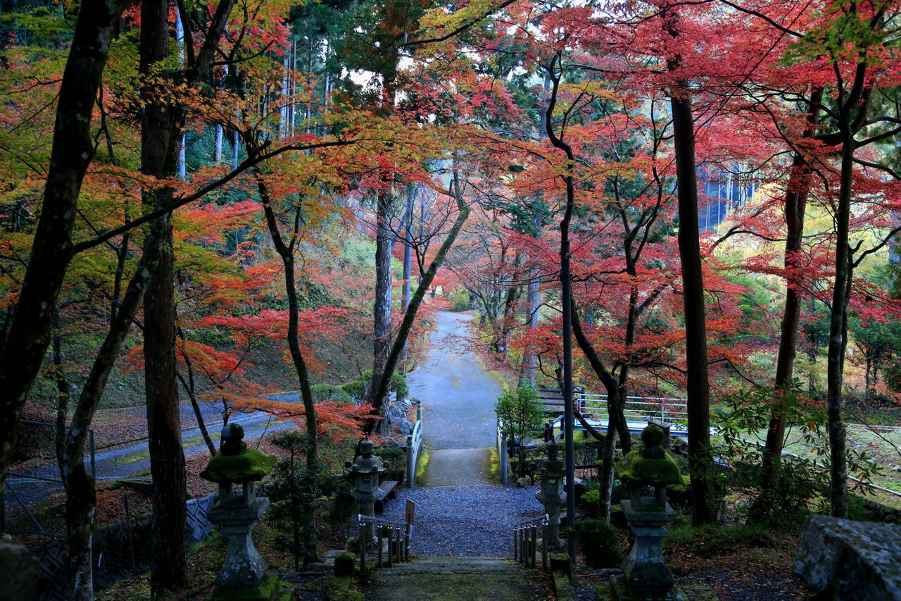 丹波篠山もみじ三山 かるんのぶろぐ