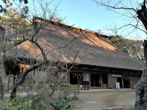 IMG_20200102_155401 (2)