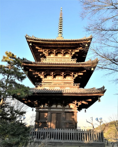 IMG_20200102_154357 (2)