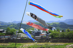 retina_pixta_15481938_S