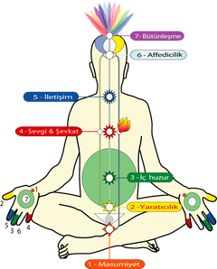 a4452da3f232399c1f870a304e479c7d