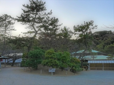 IMG_20200102_162843 (2)