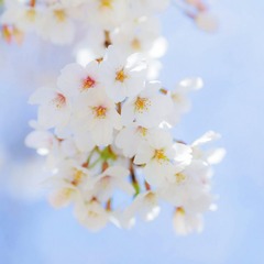 20200320main-670x670