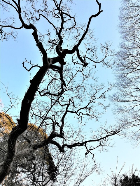 IMG_20200102_151757 (2)