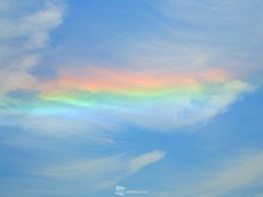 201905270085_box_img3_A