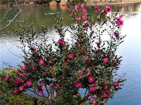 IMG_20200102_162544 (2)