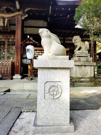 large_409f3bf2-c498-4f74-82c8-9d59c923db64