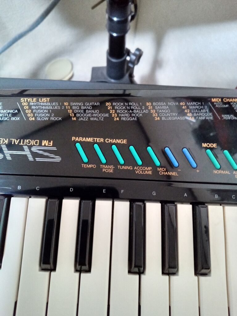 YAMAHA SHS-10 ショルキー : HOTELAdriano
