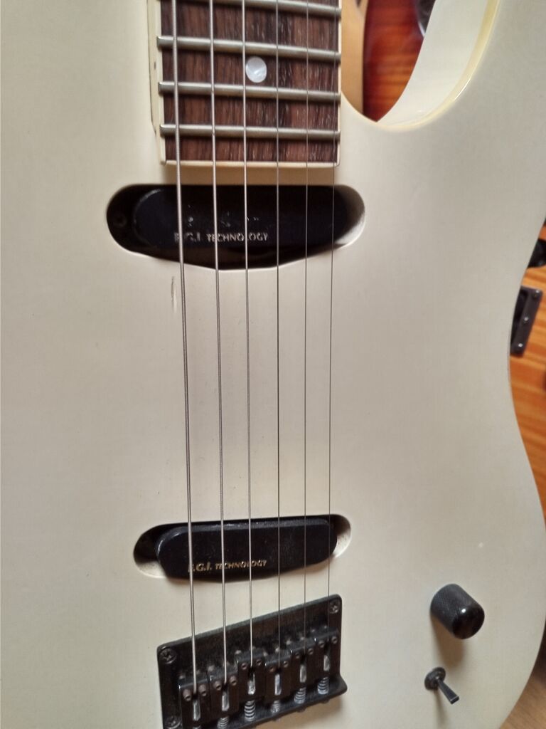 FERNANDES TE-75BT BUCK-TICK 星野モデル EMG-SA 搭載