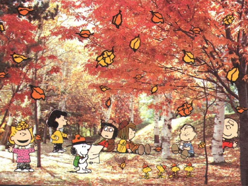 Peanuts みんな Snoopy Peanuts みんな Snoopy