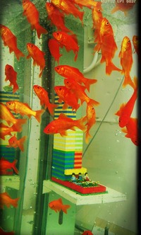 2014-09-24-16-24-26_deco