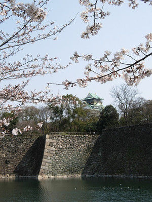 Hanami0302 Hanami0302