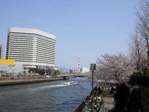 Hanami0102 Hanami0102