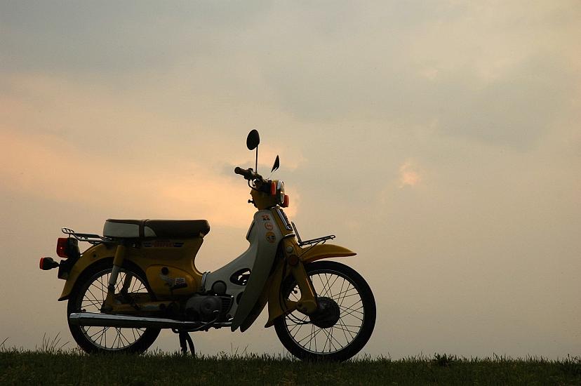 本物と偽物は見分けたいもの スーパーカブ中心生活 ｔｏｎｙ ｓ甲信生活