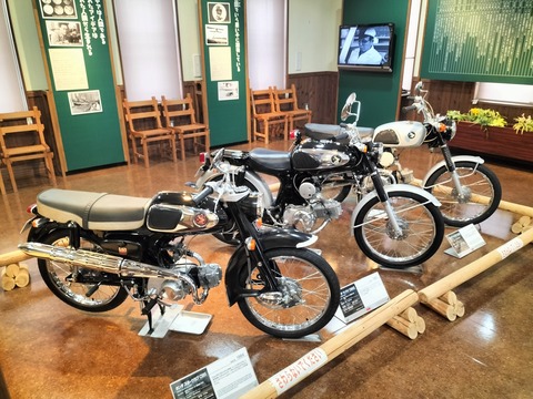 312823317_2396465067167176_2335530095064244661_n