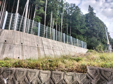 313007757_2396465393833810_1929611579741725396_n