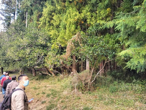 312833217_2396465340500482_9220388065337098840_n