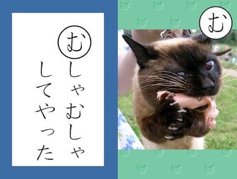 79798769_2619912774757718_8840349310118789120_n