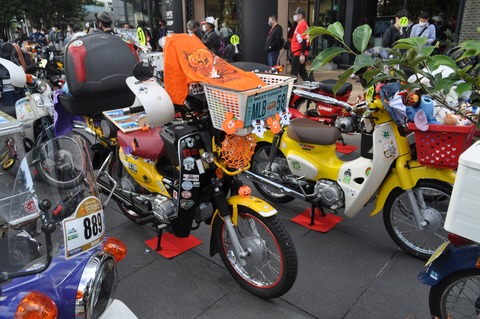 1015-harowintuchyakei