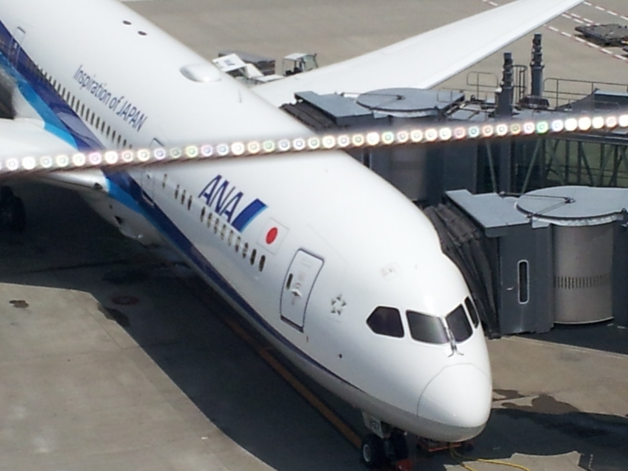 せたが屋in羽田空港 みきんち