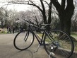 D4739F71-A135-42DC-A8A8-22FBDF99A862