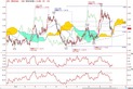 白金RSI
