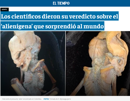 1235d8e2e20c79a61c7ec0e32d70e809