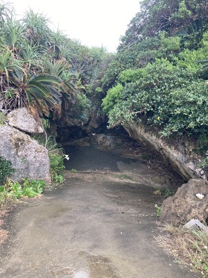 line_oa_chat_230426_180127