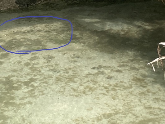 line_oa_chat_230426_1800401