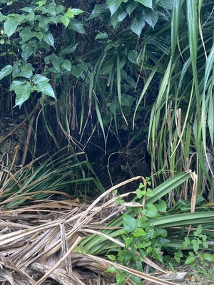 line_oa_chat_230426_180130