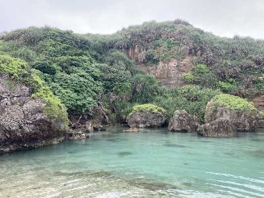 line_oa_chat_230426_180143