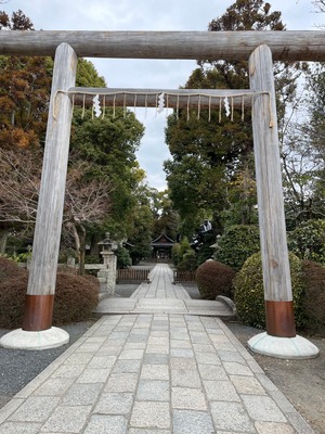 line_oa_chat_240328_110830