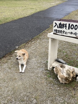 line_oa_chat_230426_180156