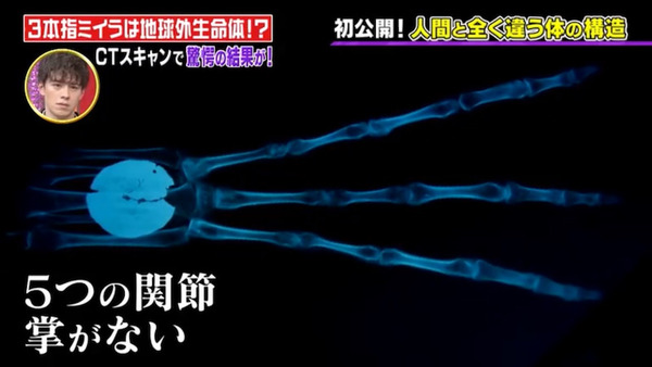 o1080060715045416080