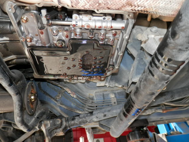 P8050003