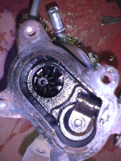 DSC00184