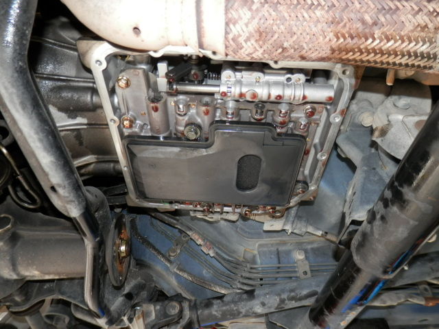 P8050005